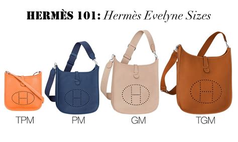 hermes evelyne gm 1|Hermes evelyne sizes and prices.